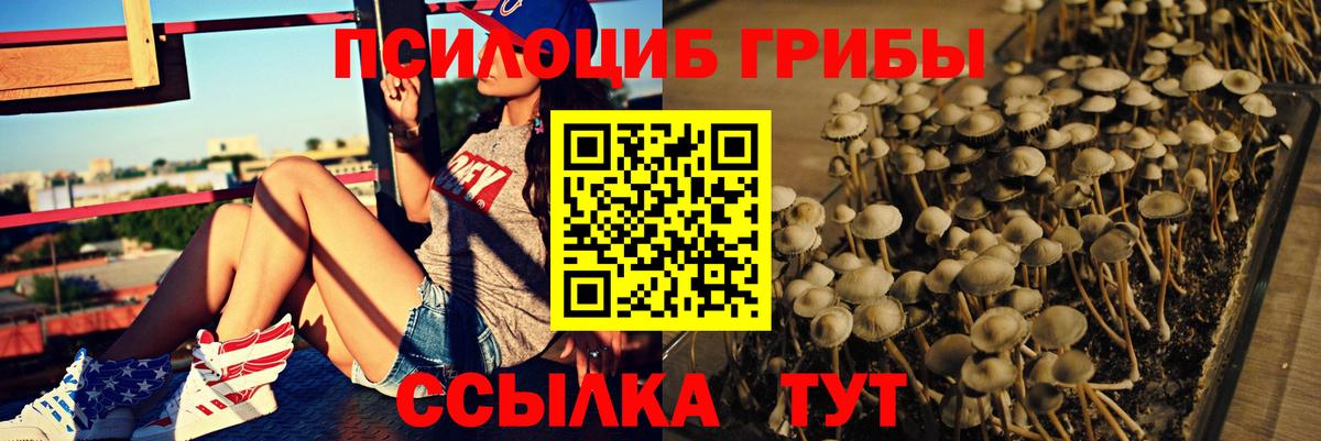 наркота  Вход с VPN  Аксай  Галлюциногенные грибы GOLDEN TEACHER 
