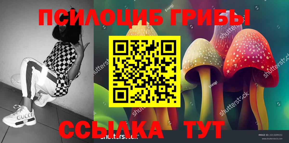 Псилоцибиновые грибы MAGIC MUSHROOMS Аксай